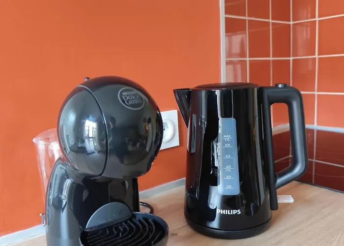 アパート Republique - Centre Historique ペルピニャン